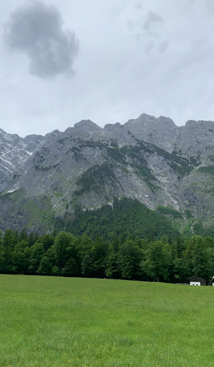 servatore's tweet image. dzisiaj na lajciku, ale jest i on! 🤭 #Alpy