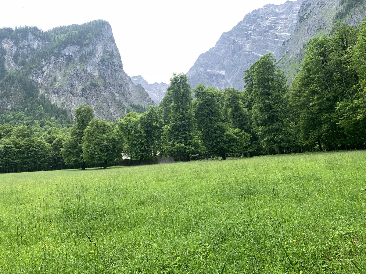 servatore's tweet image. dzisiaj na lajciku, ale jest i on! 🤭 #Alpy