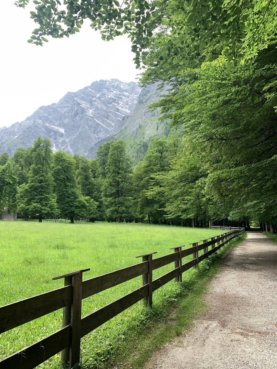 servatore's tweet image. dzisiaj na lajciku, ale jest i on! 🤭 #Alpy