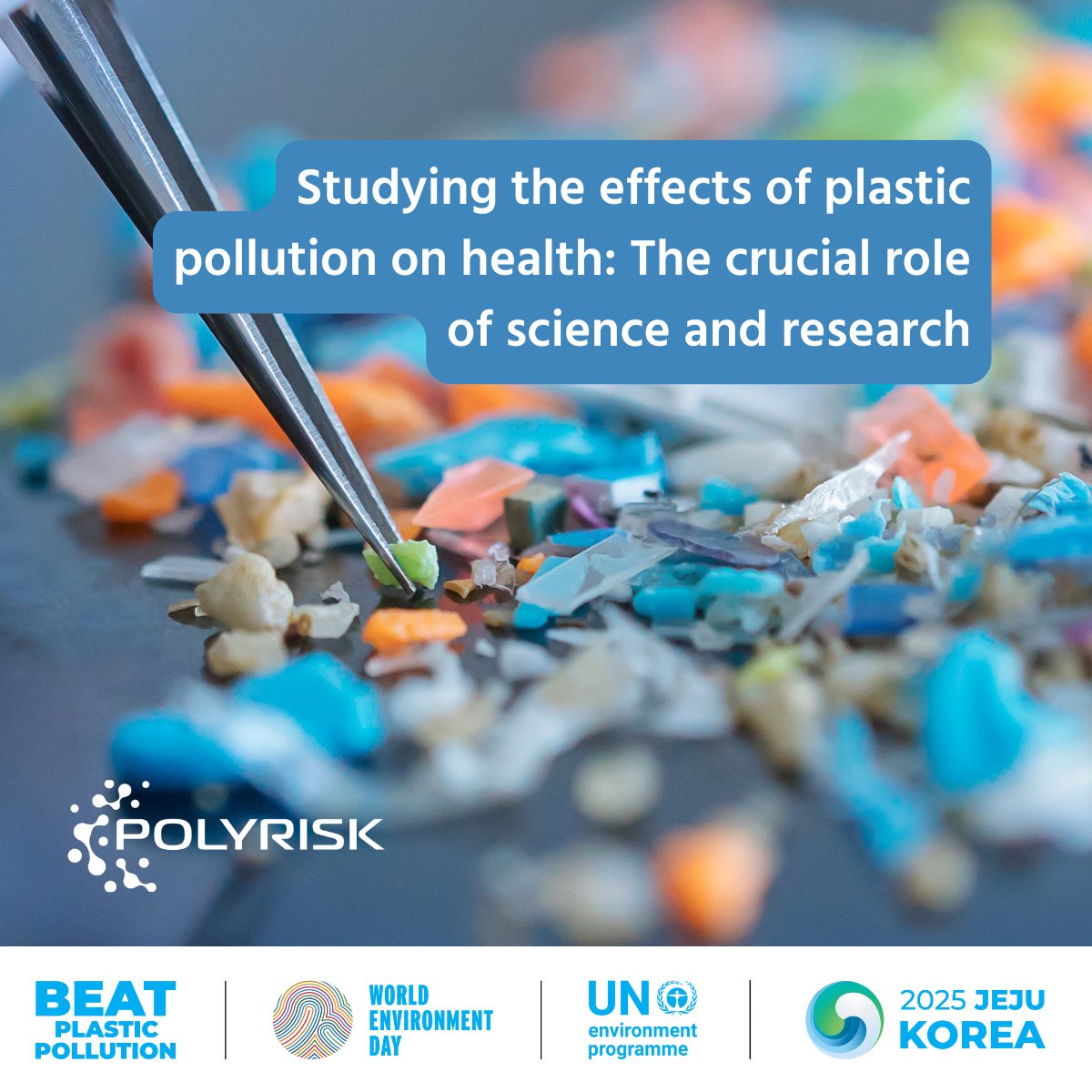 POLYRISK Research Project tweet media