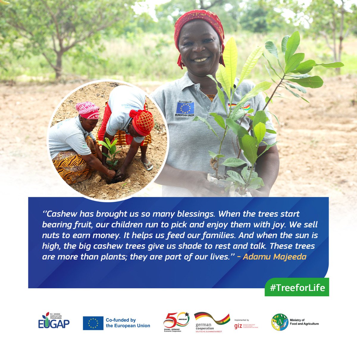 EuropeInGhana's tweet photo. Today, 🇪🇺 joins 🇬🇭 to celebrate the #TreeForLife Initiative!
Under #EUGAP & #EUREACH, 50,000 trees now grow across 200 communities in NW Ghana!
What do trees give Ghana:
🌱 Fight climate change
💰 Boost incomes
🍎 Improve nutrition
Roots today - Resilience tomorrow https://t.co/ONuczf5zDc