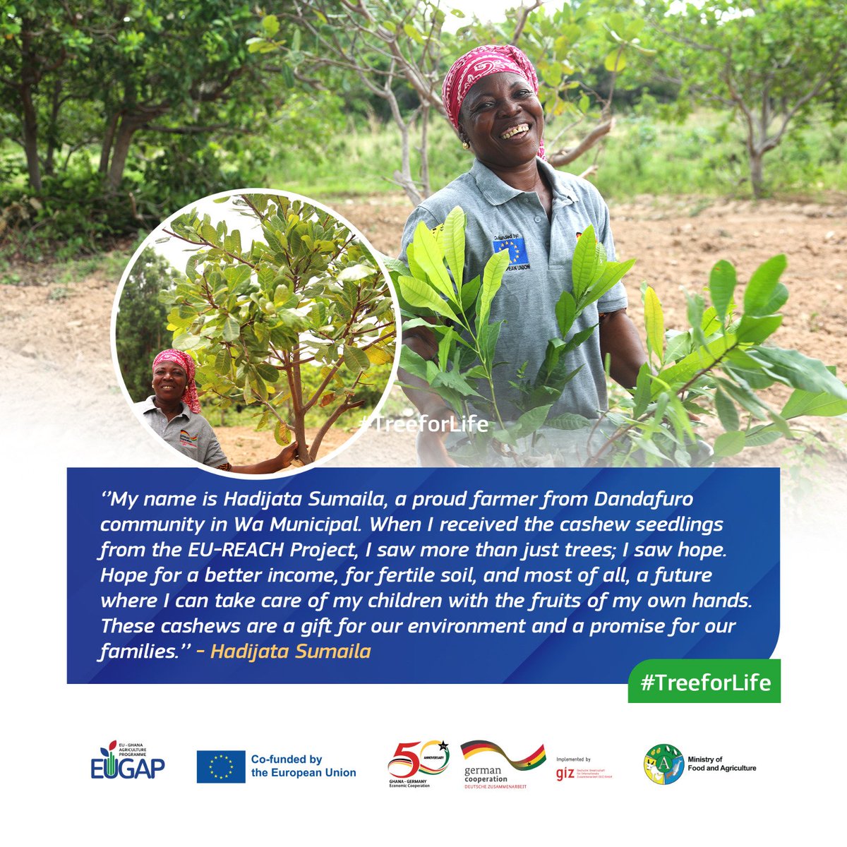 EuropeInGhana's tweet photo. Today, 🇪🇺 joins 🇬🇭 to celebrate the #TreeForLife Initiative!
Under #EUGAP & #EUREACH, 50,000 trees now grow across 200 communities in NW Ghana!
What do trees give Ghana:
🌱 Fight climate change
💰 Boost incomes
🍎 Improve nutrition
Roots today - Resilience tomorrow https://t.co/ONuczf5zDc