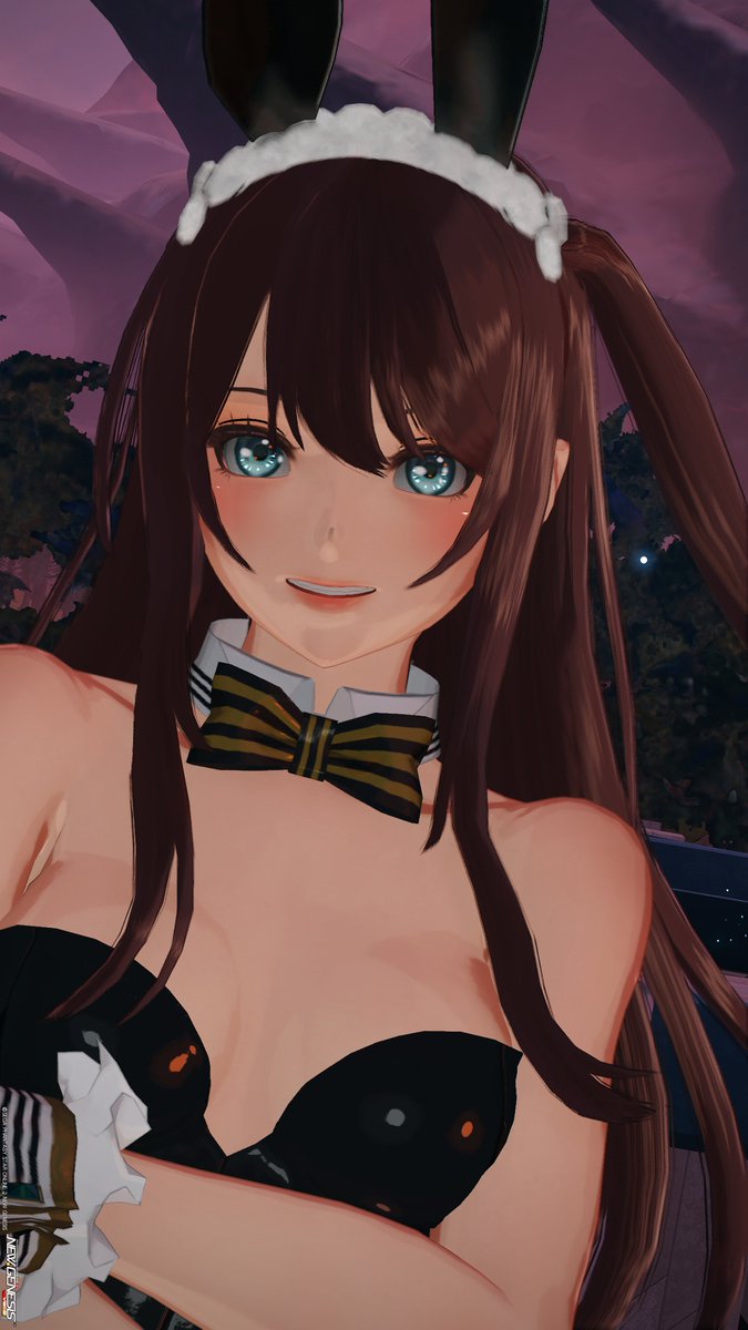アニマティクス～

#PSO2NGS_SS