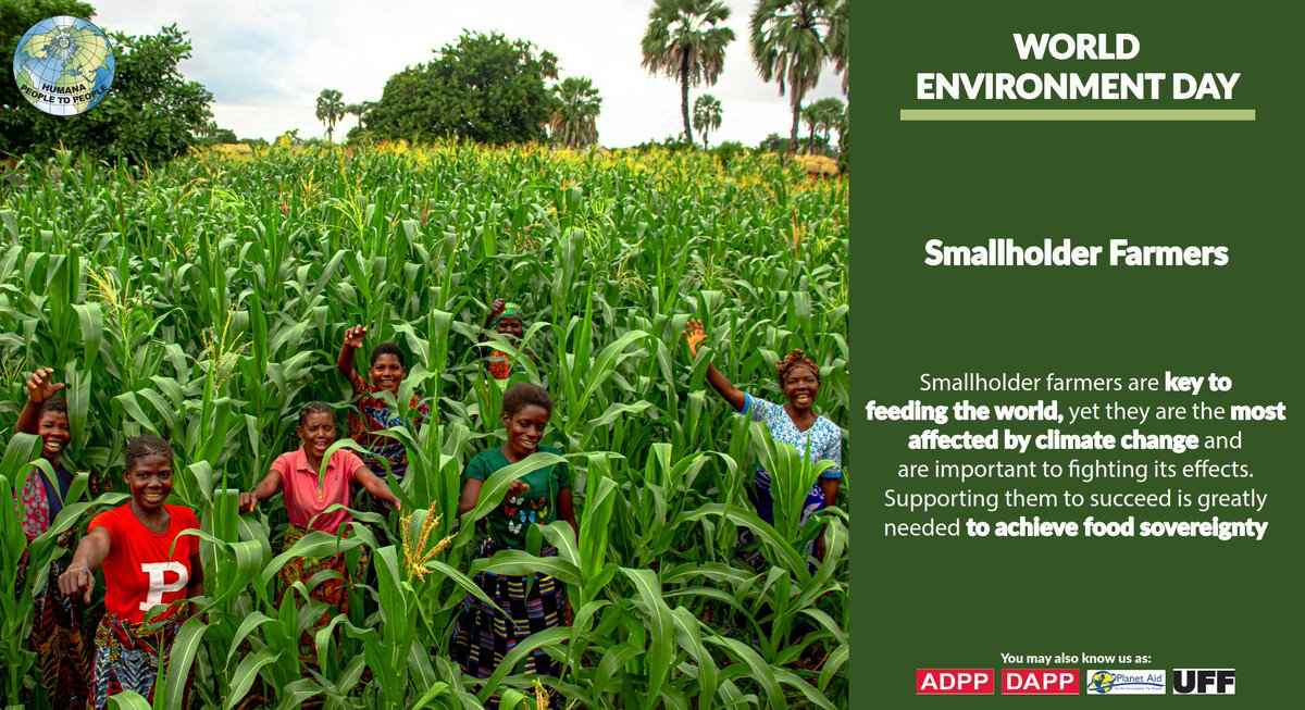 DAPP Malawi tweet media