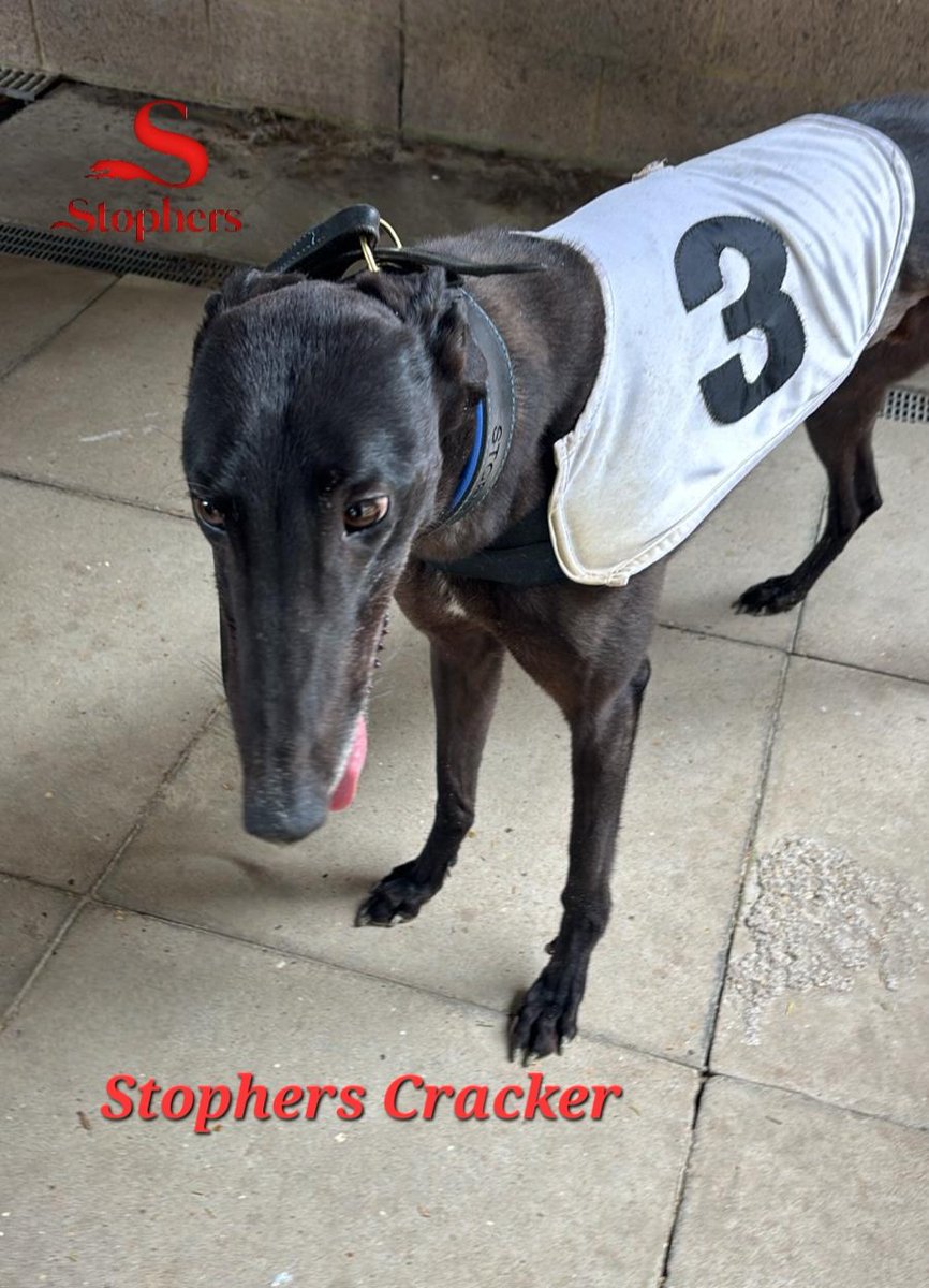 Good boy Cracker 🥳