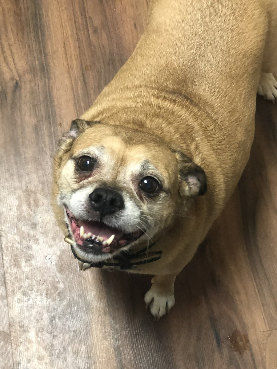 You will be missed Mugan