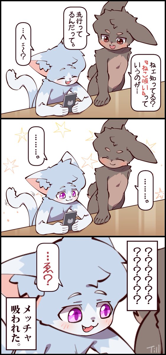 🐰📡😺