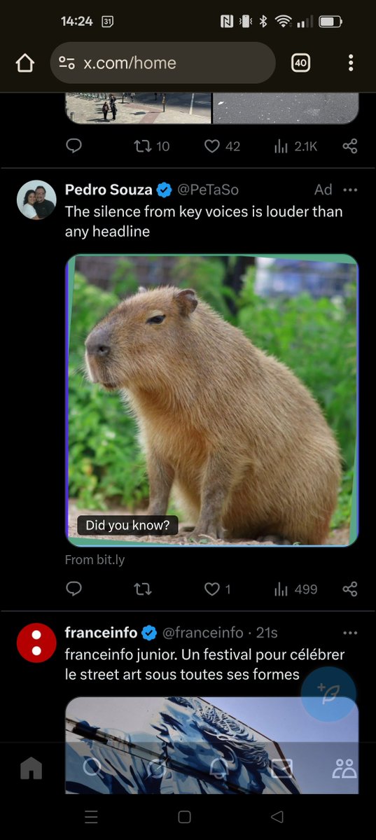 Peter Hawkins tweet media