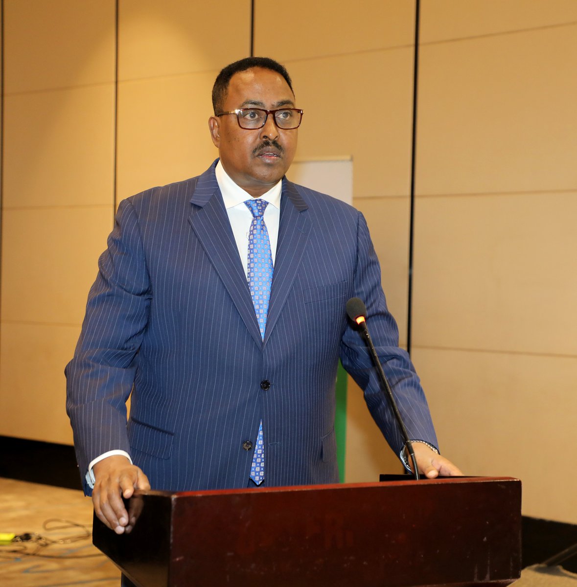 Kenya and Ethiopia Strengthen Economic and Digital Ties at Landmark HoAGDP Meeting in Addis Ababa 
web.facebook.com/MoFEthiopia/po…