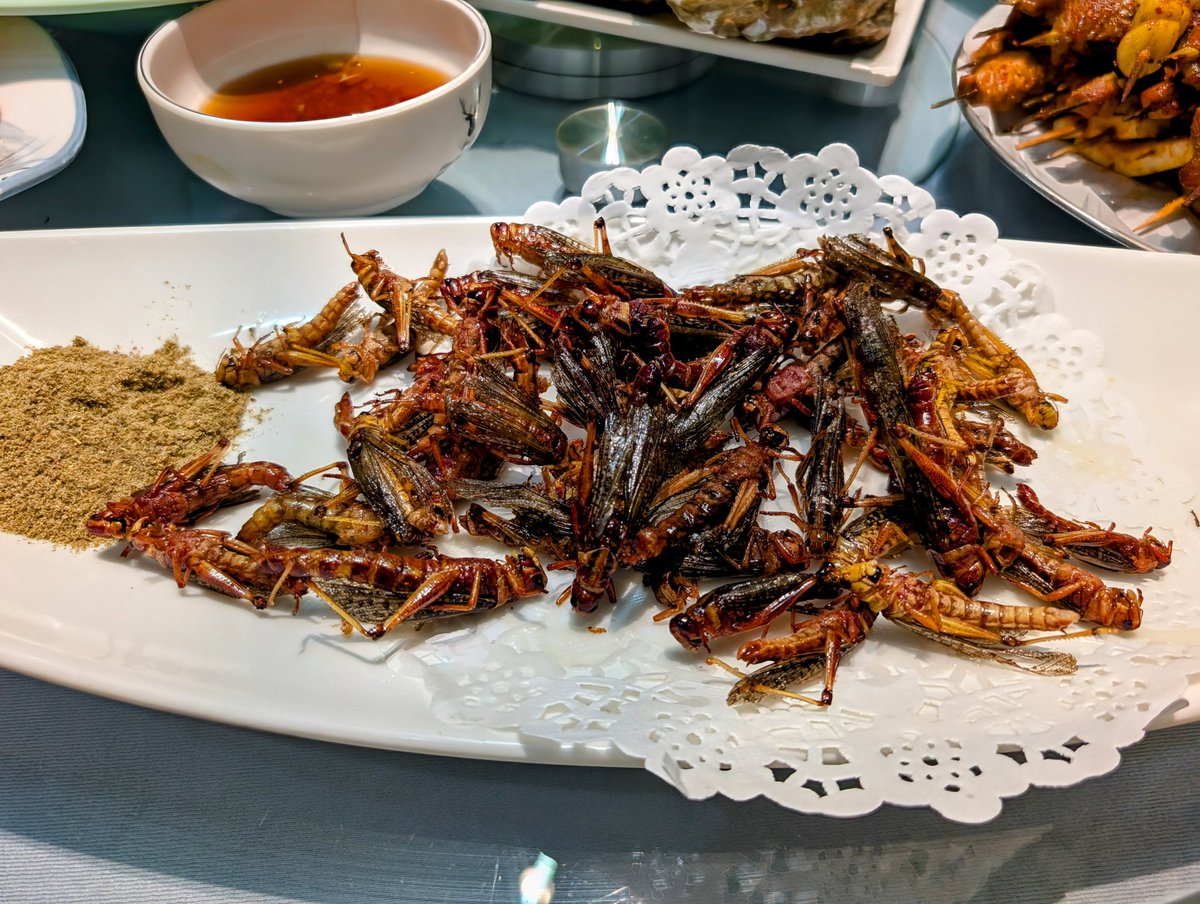 wmorrill3's tweet image. On my lastest visit to China my team continued the tradition of finding something unique for me to try eating. In this case, while in Shandong province we had fried locust. Honestly looks pretty unappealing but taste and texture like fried chicken skin