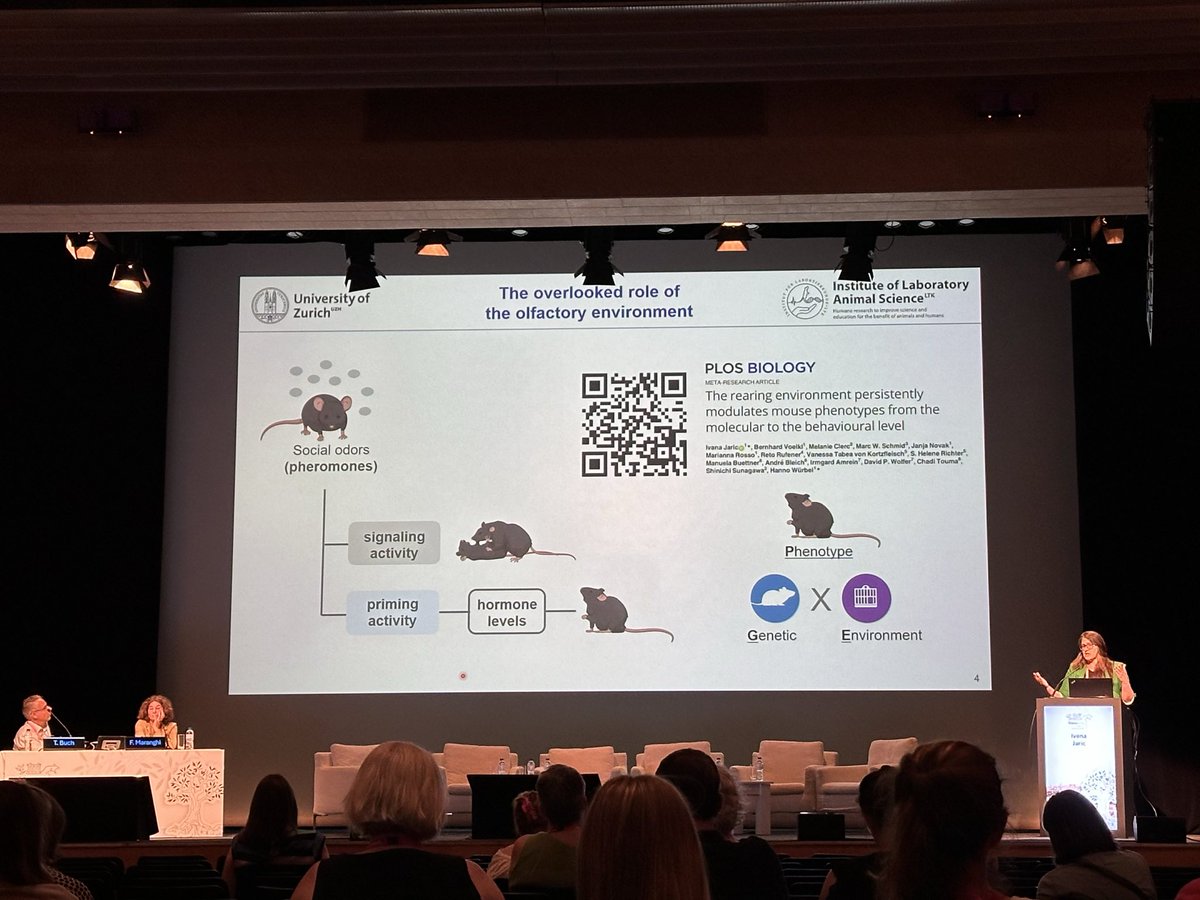 Thanks to everyone who joined our session at #FELASA2025 today 🙏 I think we really did a great job :)  Goodbye, Athens... Next stop Chania <a href="/MnSociety/">MNSociety</a> #MNS25