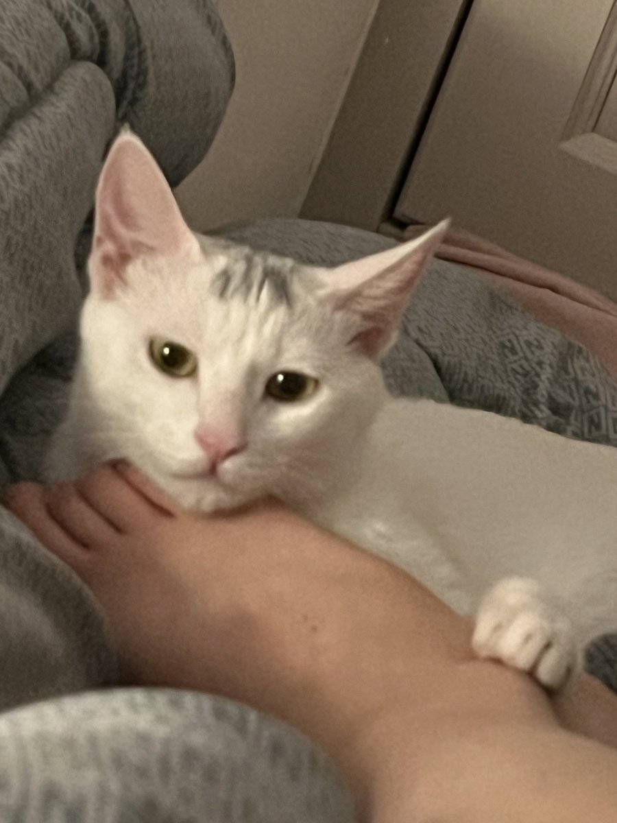 阳光苹果 (@w9262m) on Twitter photo 