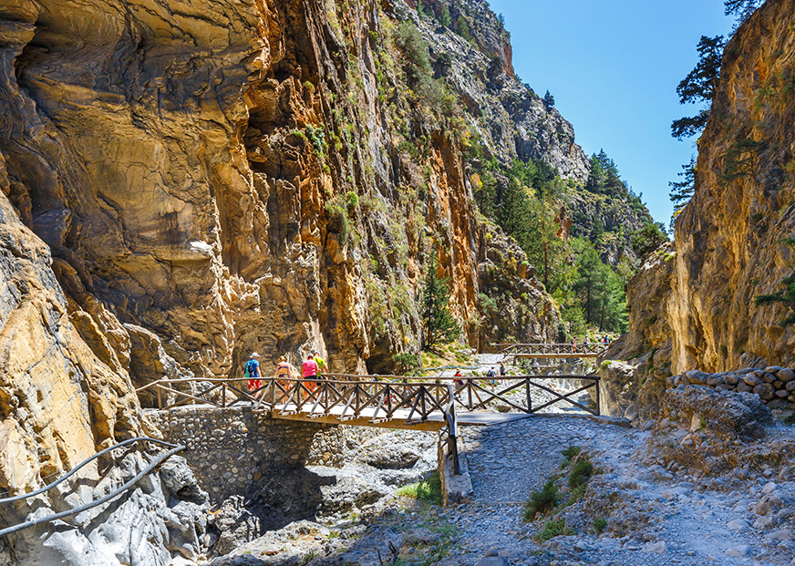 Calling all adventurers 📢! Ready to swap your daily grind for the captivating beauty of the Greek countryside 🌳? Let's experience the thrill of sustainable trekking and biking together 🚵.  #VisitGreece 

Buckle up, the journey begins here 👇
visitgreece.gr/blog/visit-gre…