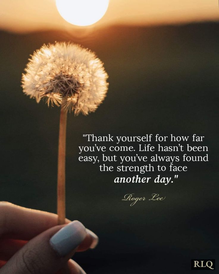 POSITIVITY (@positivitysaid) on Twitter photo 