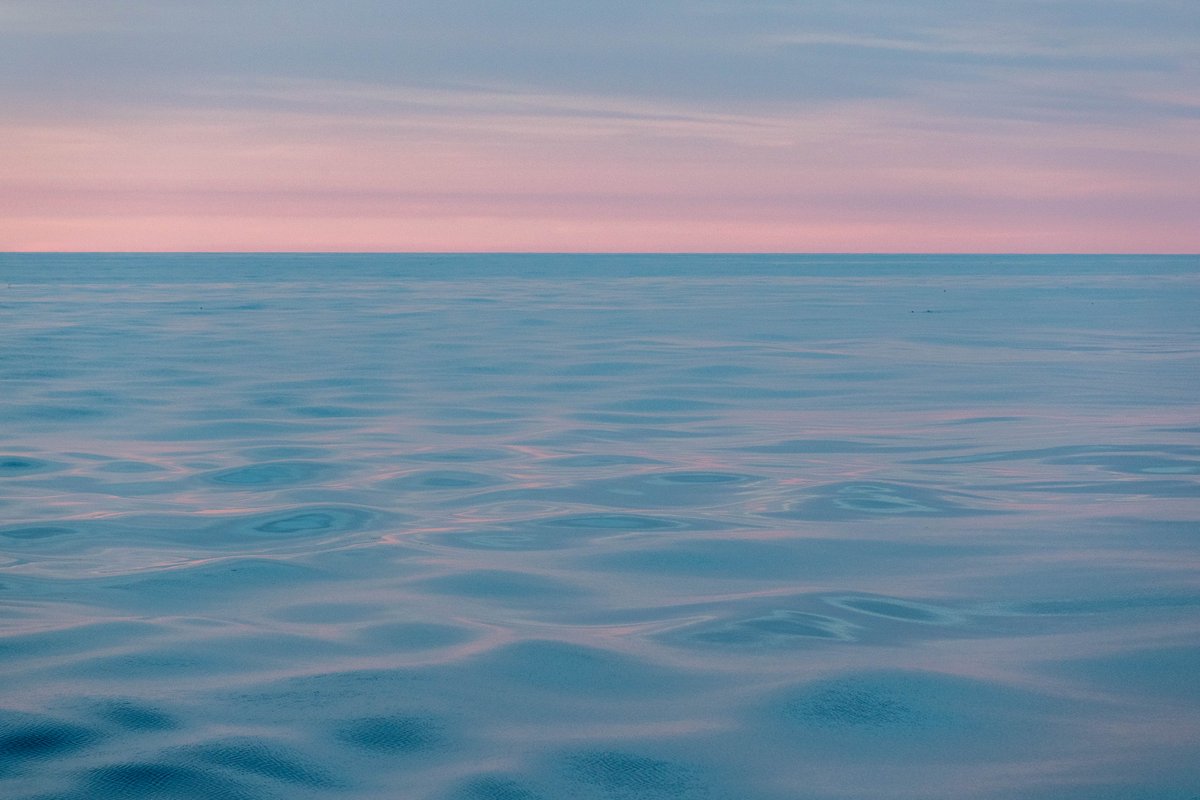 We want your art (again)! Submit a digital artwork to be featured in a virtual gallery celebrating the accomplishments of the U.S. scientific ocean drilling program by June 18th. forms.gle/RTgXCn33BgJgtX…

📷 Erick Bravo, IODP JRSP