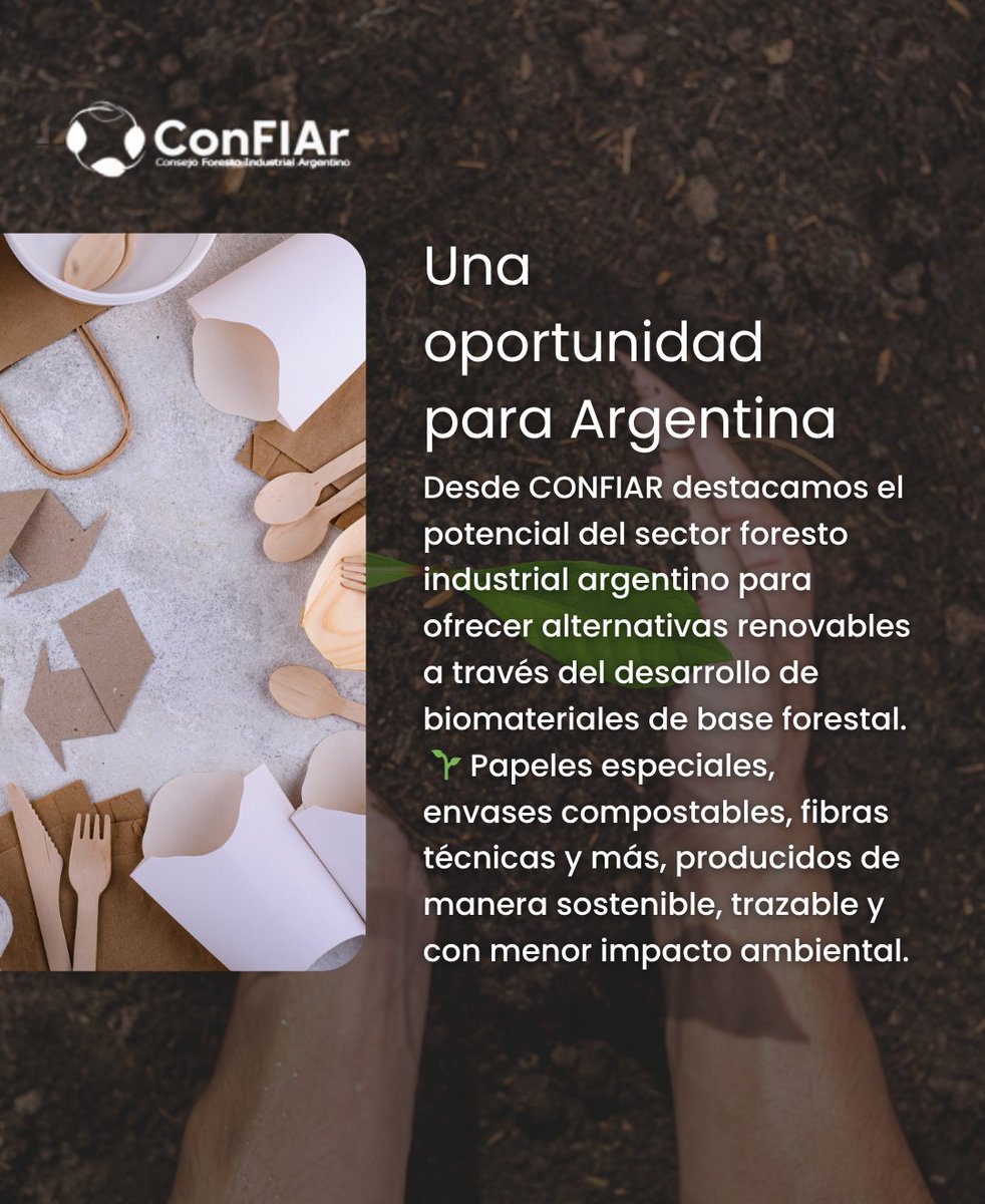 🌍 En el #DíaDelMedioAmbiente, desde CONFIAR reafirmamos el compromiso del sector foresto industrial con el desarrollo de biomateriales renovables.
📦 Una oportunidad real para reemplazar plásticos, impulsar la economía circular y cuidar el planeta.
#CONFIAR #Sustentabilidad