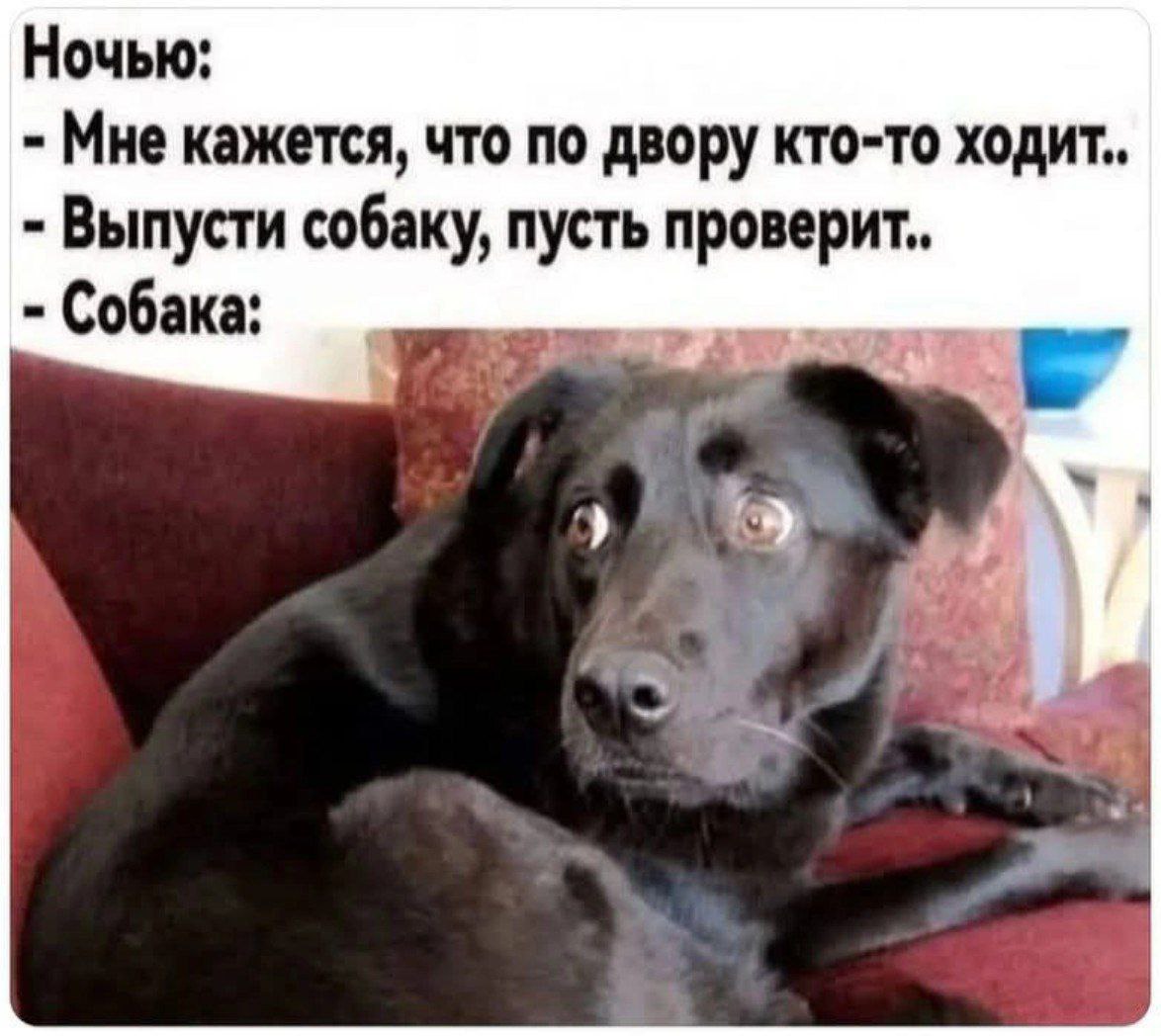 Пьяный Твиттер (@drunktwi) on Twitter photo 