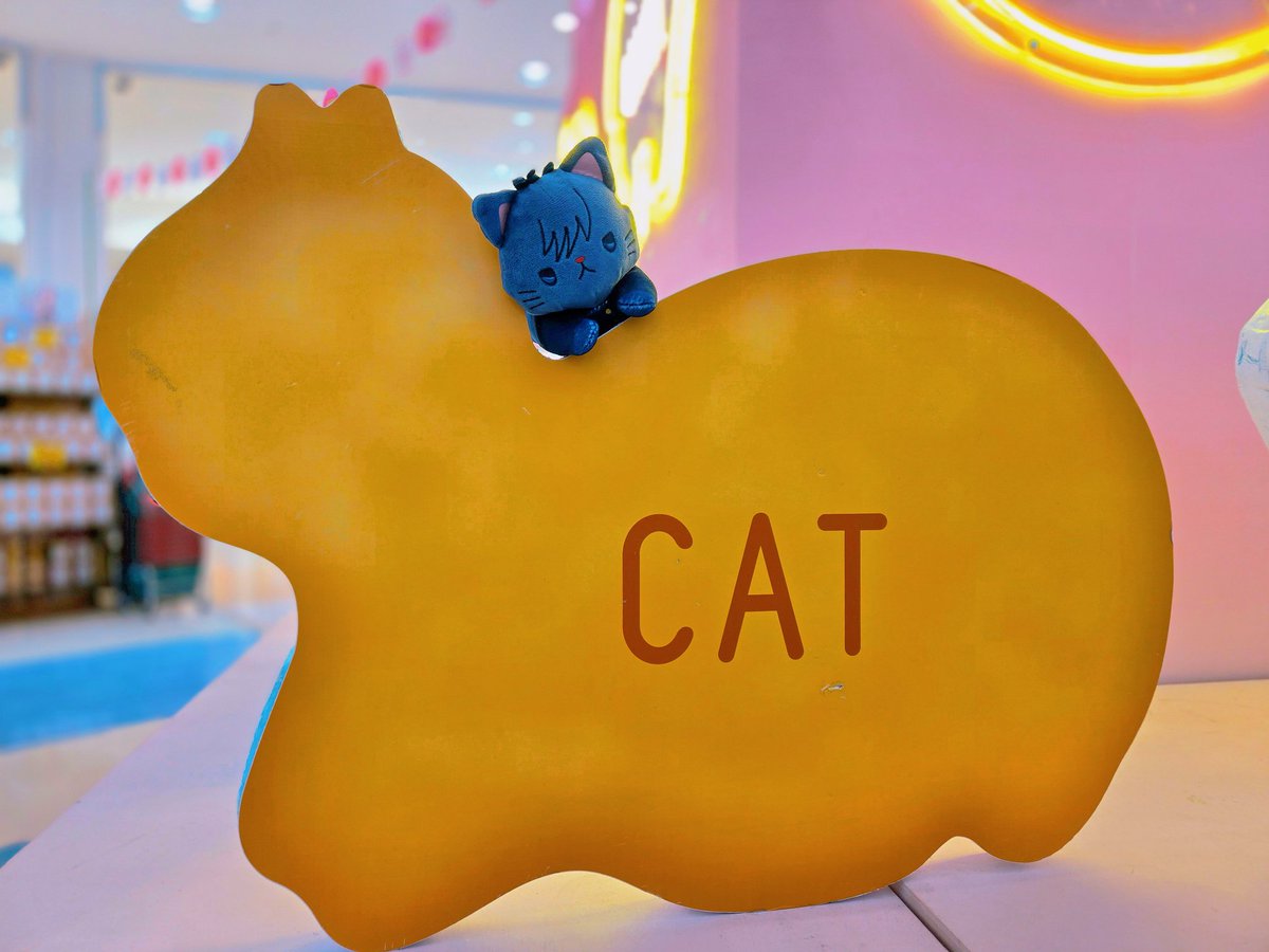 ｢………………ﾐｬ？ﾐｬﾐｬｯ？🐈‍⬛💭｣(……ん？ねこ？)
#きょうのにゃんさん