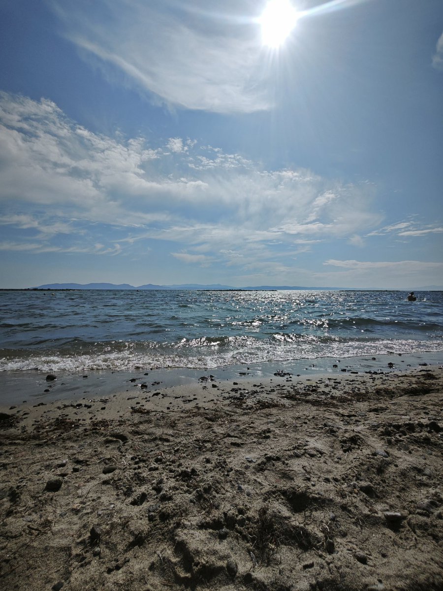 Bayram modu on 

#altinova #balikesir