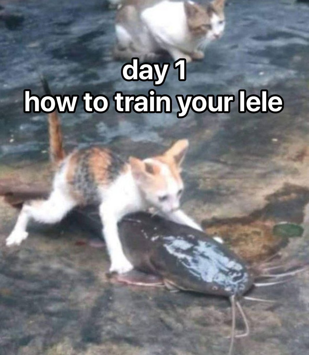 JONGINlur's tweet photo. @kanandean Oh iya maaf ruchel haha btw gua sering liat lu di tl dan gua tertarik. Boleh ga kl gua deketin lu dan minta lu untuk fokus ke gua aja? https://t.co/Jr5bYp7c1h