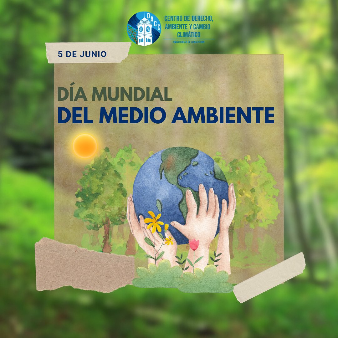 🦋Hoy, 5 de junio, celebramos el Día Mundial del Medio Ambiente, fecha proclamada en la Conferencia de las Naciones Unidas sobre el Medio Humano celebrada en 1972, con el objetivo de fomentar la conciencia y la acción global en favor de la protección del entorno natural.