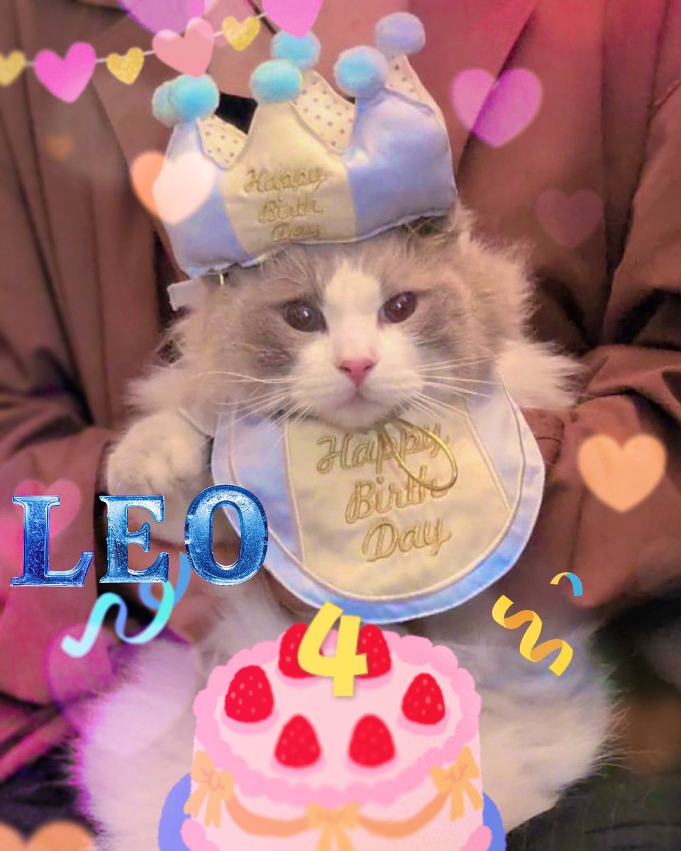 おかげさまでレオが4歳になりました！！
ちなみに、マタタビデビューもしました👏
ゴロゴロ普段見ない感じがたまらんw