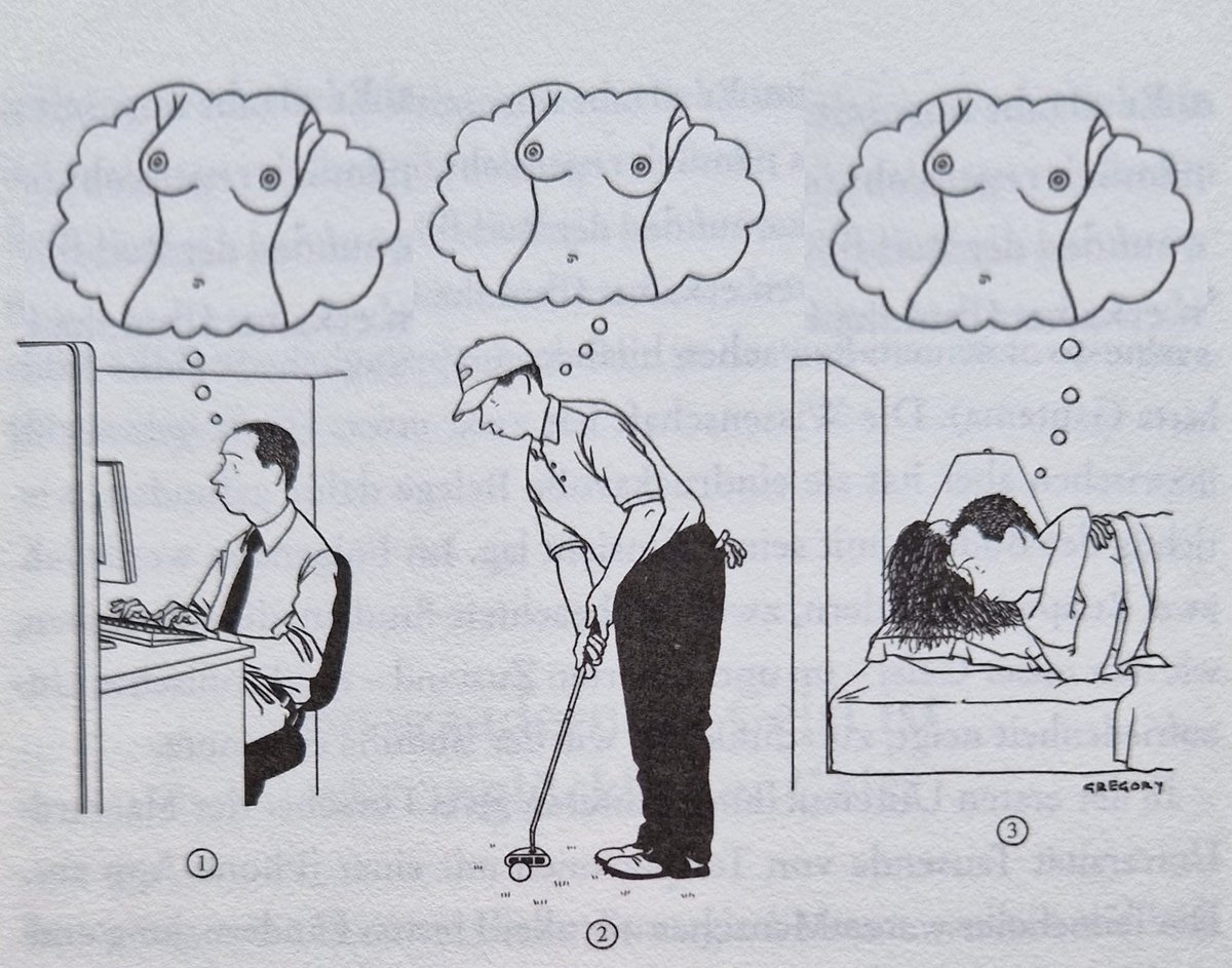 peitos entra na mente não tem jeito