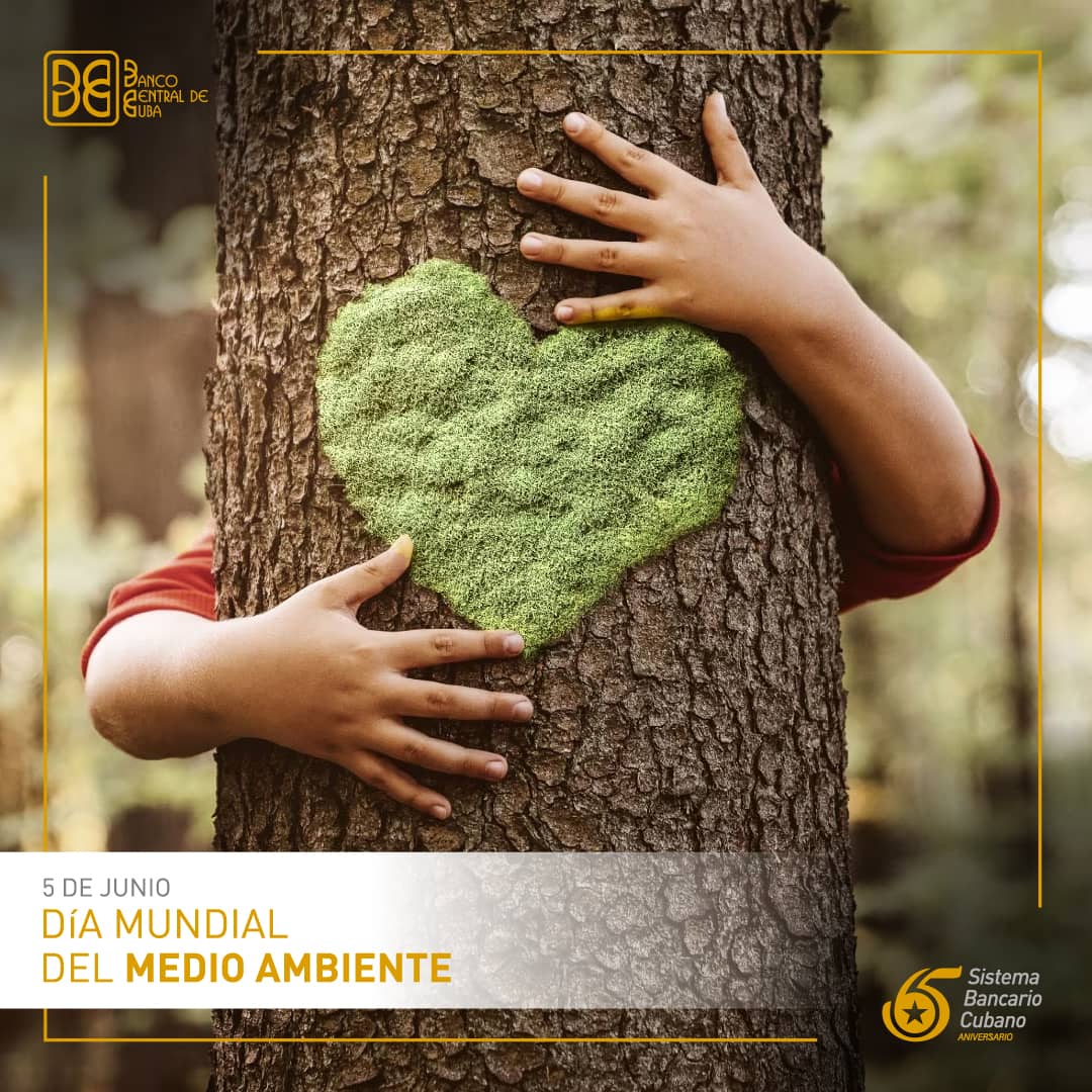 📍 ¡Feliz Día Mundial del Medio Ambiente!
En el <a href="/BancoCentralCub/">Banco Central de Cuba</a> estamos comprometidos con la banca verde y la protección del planeta. Creemos en un futuro sostenible, promoviendo prácticas financieras responsables que contribuyen a cuidar nuestro entorno. 💚
#CuentaConmigo