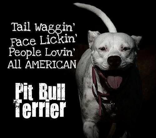 Yes you are buddy!