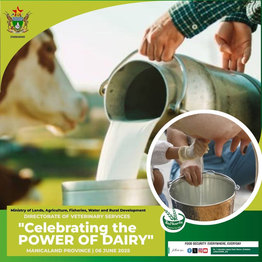 MinofLands,Agric,Fisheries,Water&Rural Development (@molafwrd_zim) on Twitter photo “Let's celebrate the power of dairy!”🌟 Join us tomorrow, June 6, 2025, in Mutare, Zimbabwe as we commemorate World Milk Day, promoting nutrition, sustainability, and livelihoods. #WorldMilkDay #DairyMatters #FoodSecurity #SustainableFuture
<a href="/FAOZimbabwe/">FAO Zimbabwe</a> <a href="/obertjiri/">Obert Jiri</a> “Let's celebrate the power of dairy!”🌟 Join us tomorrow, June 6, 2025, in Mutare, Zimbabwe as we commemorate World Milk Day, promoting nutrition, sustainability, and livelihoods. #WorldMilkDay #DairyMatters #FoodSecurity #SustainableFuture
<a href="/FAOZimbabwe/">FAO Zimbabwe</a> <a href="/obertjiri/">Obert Jiri</a>