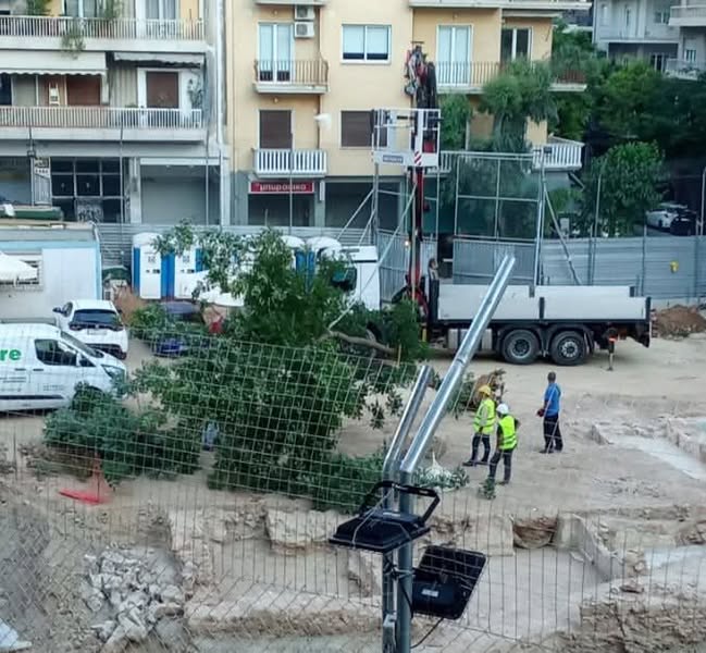 Αυτό ήταν το τελευταίο δέντρο της Πλατείας Εξαρχείων...
Το δολοφόνησαν σήμερα το πρωί.
Δεν το κράτησαν για να κρεμαστούν.
Δεν θα τους άξιζε τέτοια τιμή.
