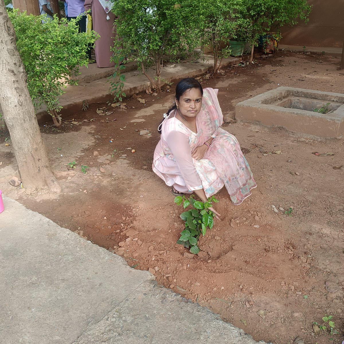 Today we celebrated World Environment Day