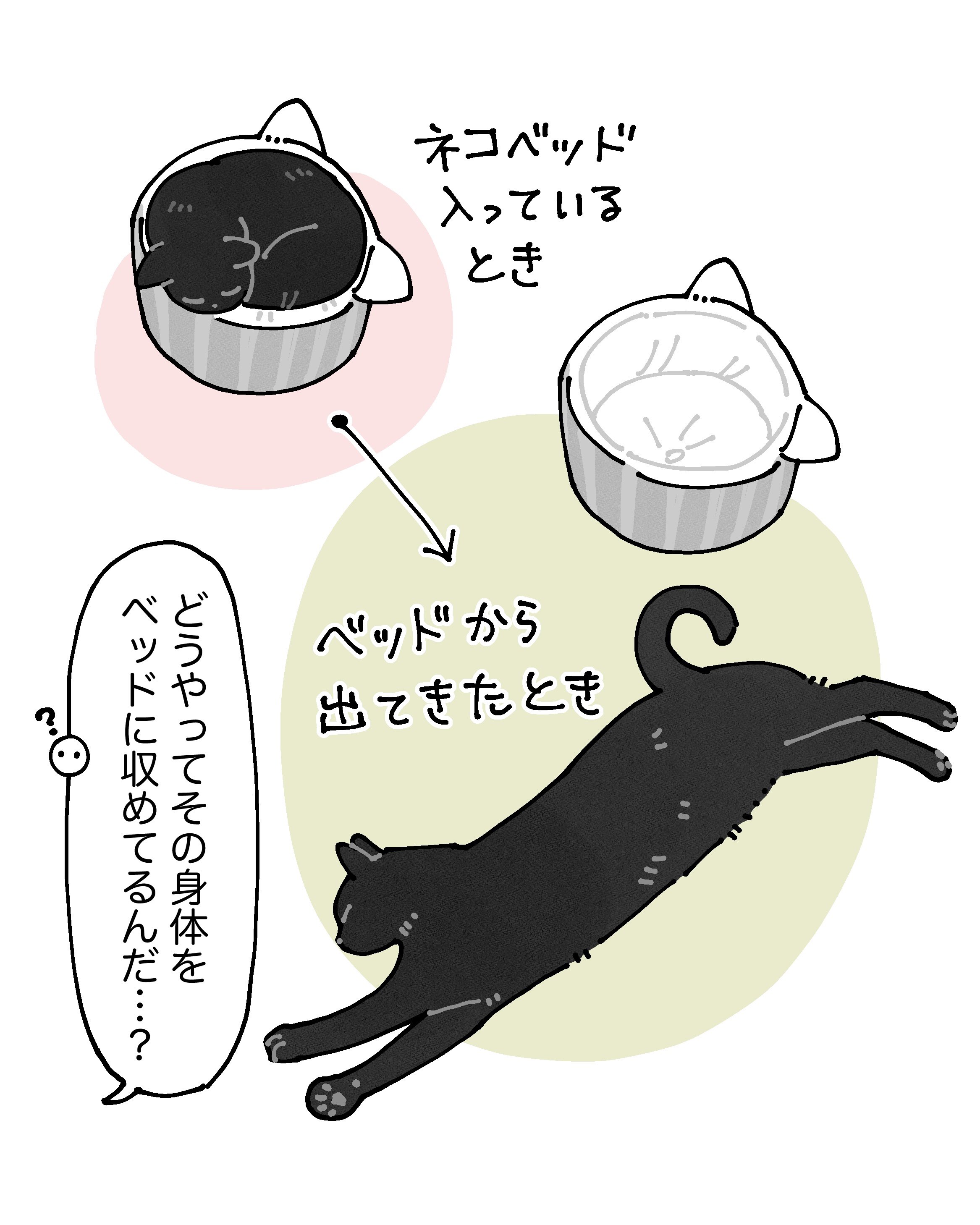 AKR｜7巻でたよ on X: 