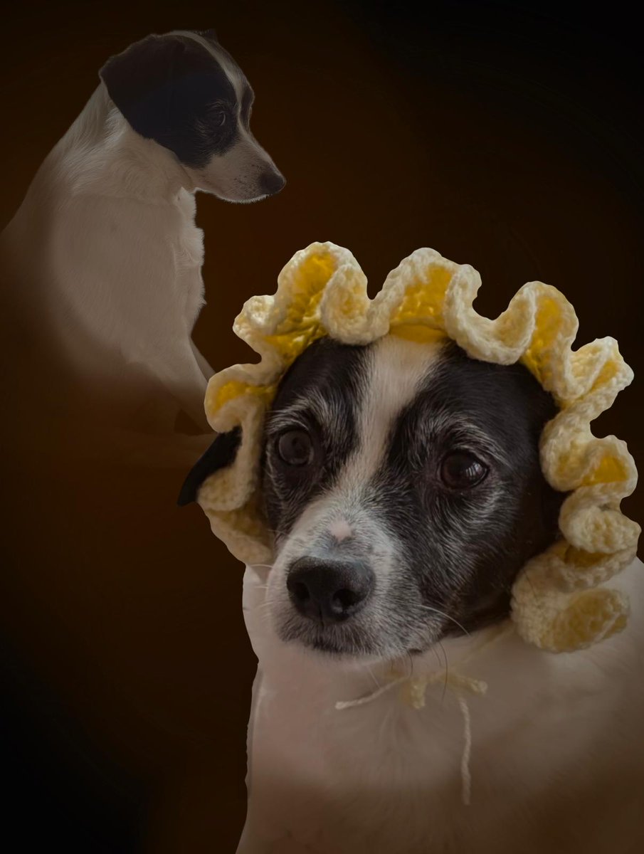 comp3int's tweet image. Zakk took some new headshots. Tell him he&apos;s pretty