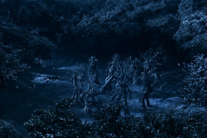 fuck chatgpt i’m asking the entmoot