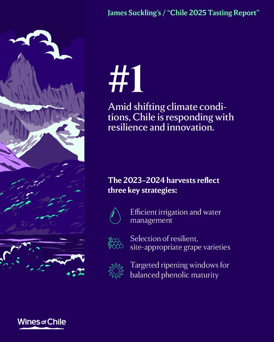 Wines of Chile tweet media