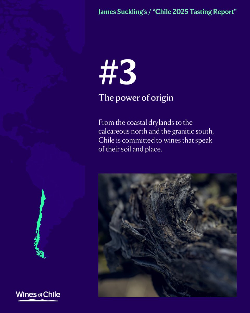 Wines of Chile tweet media