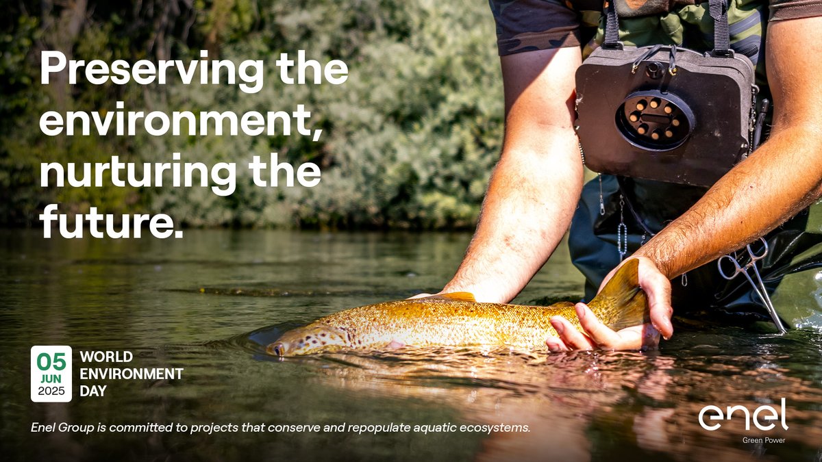 🌱On #WorldEnvironmentDay, we reaffirm our commitment to protecting the planet.

We safeguard biodiversity, reduce emissions, and produce clean energy for a sustainable future for all.

#Sustainability #Biodiversity #CleanEnergy