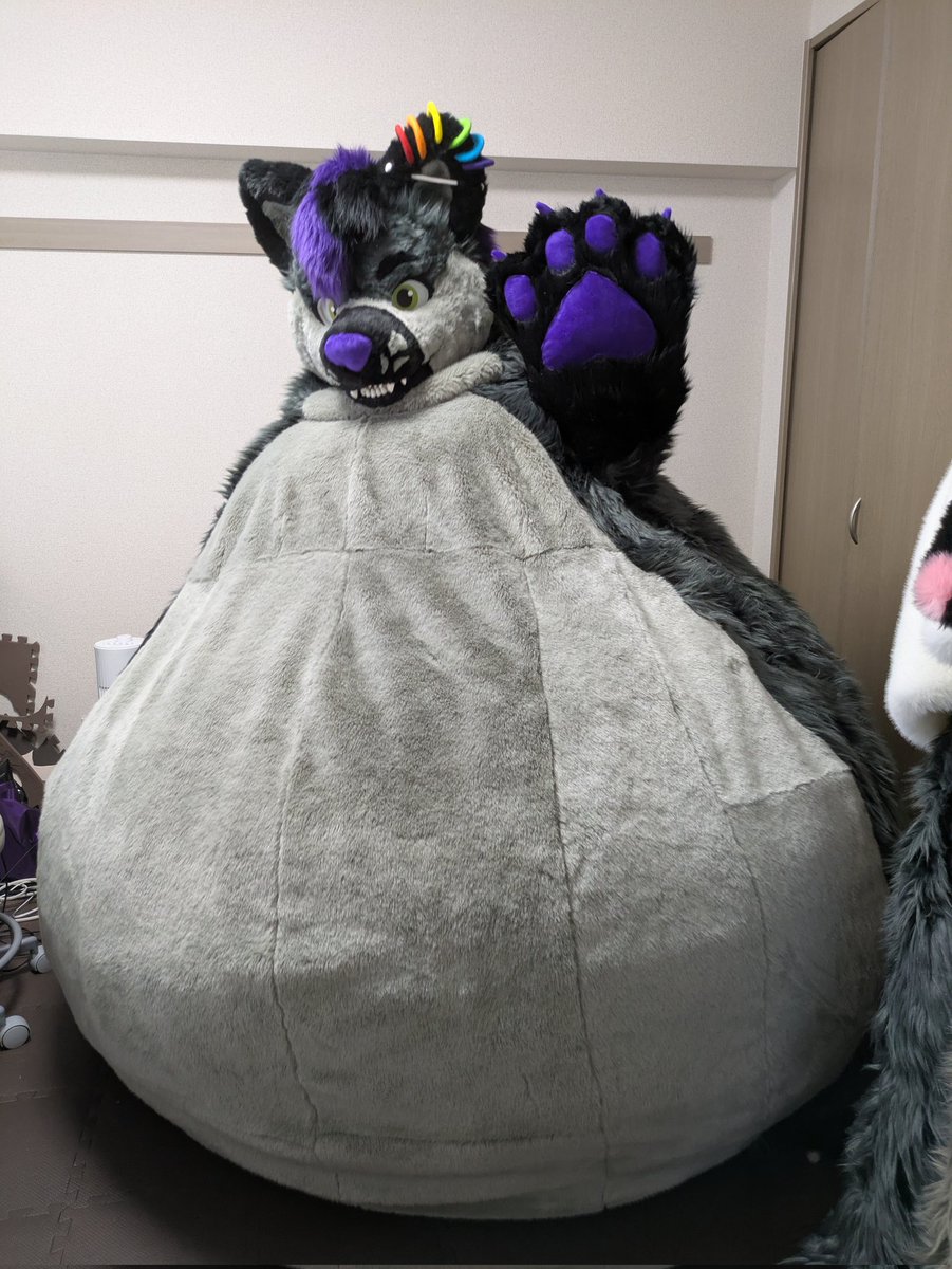 kabukoubou's tweet photo. I made a giant fat suit version of a wolf suit! 🐺 It's so big that it's hard to even walk in it lol. The whole body is fluffy and comfortable, and it can be used as a bed. 
Owner →@BiggirlDeek https://t.co/sInIEznyVz