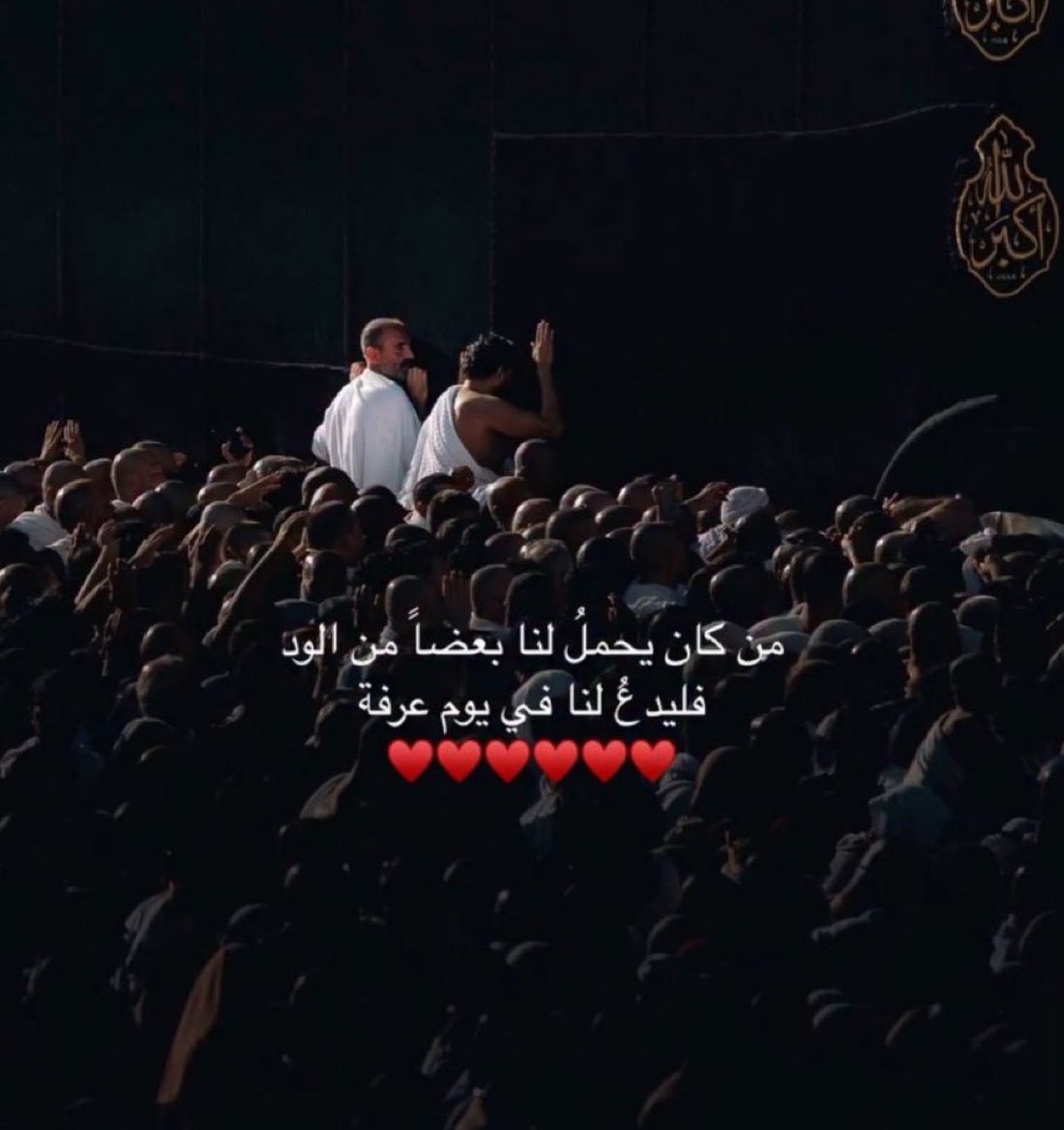 حمدة الملا ♥️🇦🇪 (@hamda_almulla) on Twitter photo 