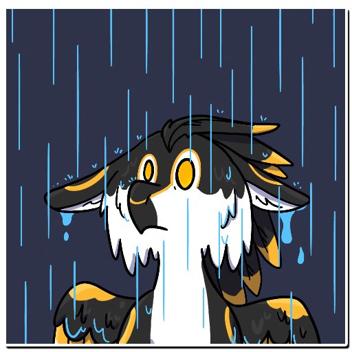 Birds 🇨🇦 tweet media