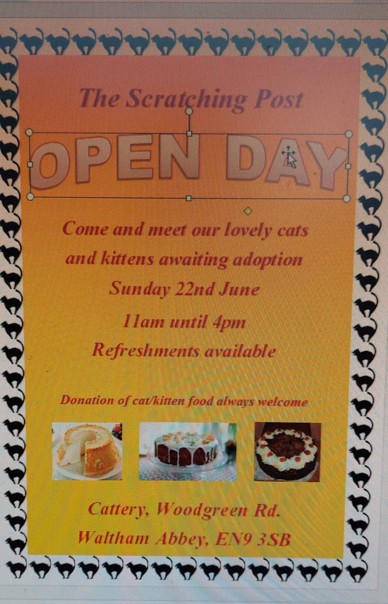 Have you been considering adopting?
Come along to our open day on 22nd June to have a chat and meet the cats waiting for their new homes.
The shelter will be open 11-4 with refreshments available ☕️🍰
Woodgreen Rd, Waltham Abbey, Essex EN9 3SB
#openday #walthamabbey