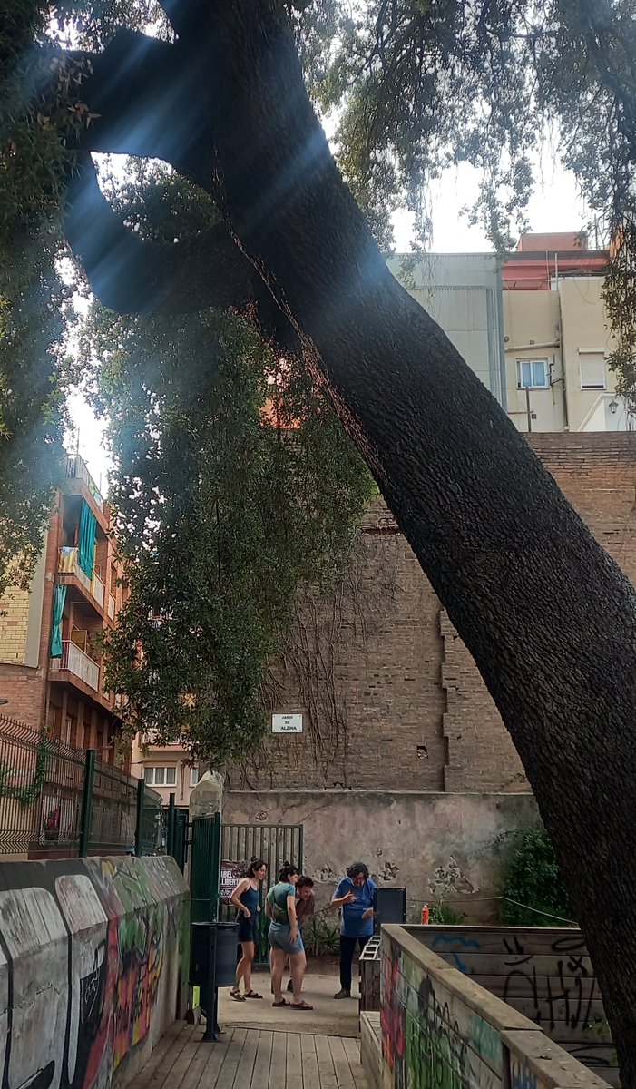 AmaliaArgelich's tweet photo. Ahir des del @bcnuej vam visitar l’espai de l’Alzina a Gràcia🌳Un cas de d'(in)justícia ambiental urbana. Les veïnes de l'associació ens van explicar la llarga història de defensa i cura d’aquest jardí i de l’alzina centenària que hi habita. https://t.co/cET80jHa5w