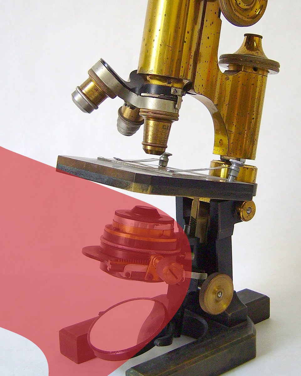 MHMedicinaCat's tweet image. 🔬El desenvolupament del 𝐦𝐢𝐜𝐫𝐨𝐬𝐜𝐨𝐩𝐢 introduí, lentament des del segle XVII, un nou instrument d’𝐨𝐛𝐬𝐞𝐫𝐯𝐚𝐜𝐢𝐨́ 𝐛𝐢𝐨𝐥𝐨̀𝐠𝐢𝐜𝐚 que havia de permetre aprofundir en el coneixement de l’estructura microscòpica orgànica.
🔗ja.cat/YFsOv