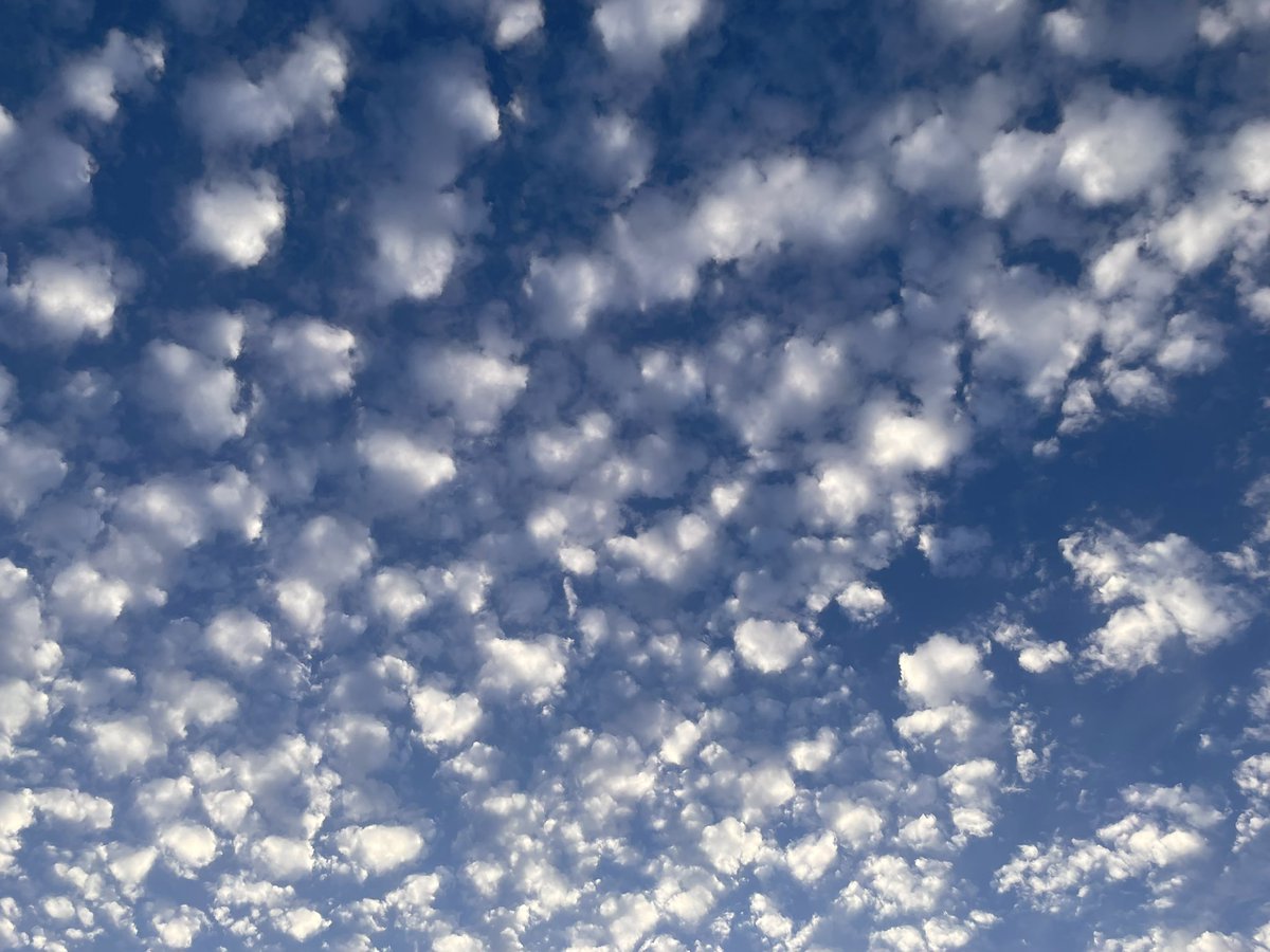 ちっちゃな綿菓子みたいだね
#立ち止まって見上げた空