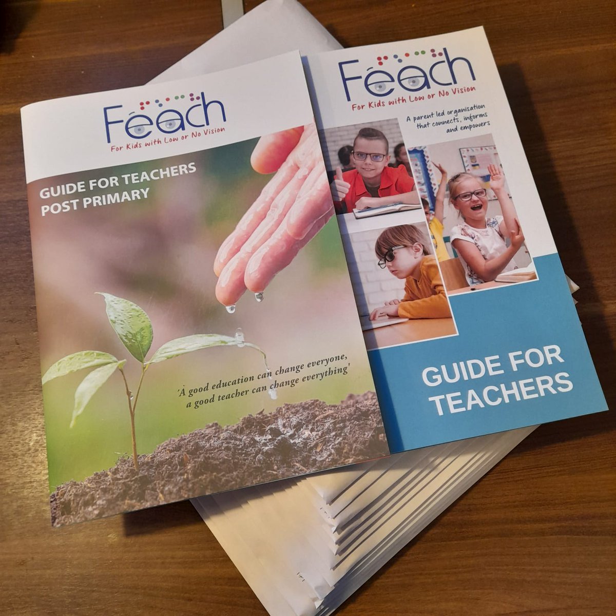 FeachIreland's tweet image. Teachers &amp;amp; SNAs don&apos;t forget we offer free guides for Primary and Secondary staff &amp;amp; a pilot project offering free in person or online training for staff of Post Primary schools with incoming VI/blind students #edchatie @simonmlewis @MuinteoirCDoyle @muinteoirdearv @lindaosull88