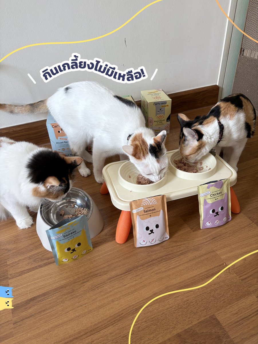 กินกันเกลี้ยง! ไม่เหลือให้แม่ล้างถ้วยเลยจ้าา~ 🍽️🐱
Cat’s taste ฟินทุกคำ รสชาติดีไม่มีผิดหวัง
📌 ไม่เติมโซเดียม
📌 ไม่ใส่วัตถุกันเสีย
📌 ไม่มีธัญพืชปน
📌 คุณภาพระดับญี่ปุ่นแท้ๆ Human Grade
.
เปลี่ยนมื้อธรรมดาให้เป็นมื้อที่น้องเลียถ้วยจนแห้งได้ในราคาเบาๆ
พิกัด 👉 Cat’s taste ทุกช่องทางออนไลน์~
🧡 Shopee: https://t.co/e9SPk0YP1n
💜 Lazada: https://t.co/VHr4NfmsT9
❤️ Tiktok Shop: https://t.co/b7VZwf9Udz
#Catstaste #Catstasteคิดมาแล้วให้แมวlove #รีวิวจากผู้อีทจริง #ทาสแมว