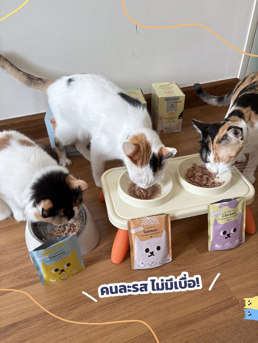 กินกันเกลี้ยง! ไม่เหลือให้แม่ล้างถ้วยเลยจ้าา~ 🍽️🐱
Cat’s taste ฟินทุกคำ รสชาติดีไม่มีผิดหวัง
📌 ไม่เติมโซเดียม
📌 ไม่ใส่วัตถุกันเสีย
📌 ไม่มีธัญพืชปน
📌 คุณภาพระดับญี่ปุ่นแท้ๆ Human Grade
.
เปลี่ยนมื้อธรรมดาให้เป็นมื้อที่น้องเลียถ้วยจนแห้งได้ในราคาเบาๆ
พิกัด 👉 Cat’s taste ทุกช่องทางออนไลน์~
🧡 Shopee: https://t.co/e9SPk0YP1n
💜 Lazada: https://t.co/VHr4NfmsT9
❤️ Tiktok Shop: https://t.co/b7VZwf9Udz
#Catstaste #Catstasteคิดมาแล้วให้แมวlove #รีวิวจากผู้อีทจริง #ทาสแมว