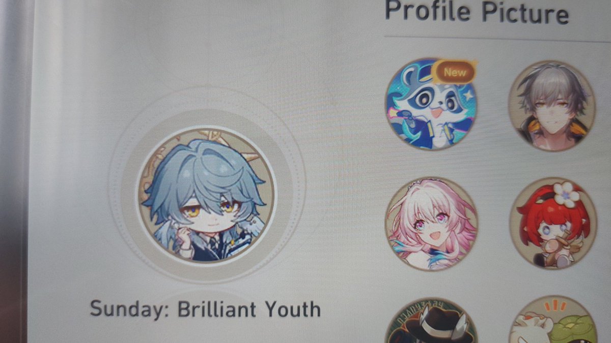 i finally fucking got this unreasonably silly racoon pfp and my gallagher cons i can rest now