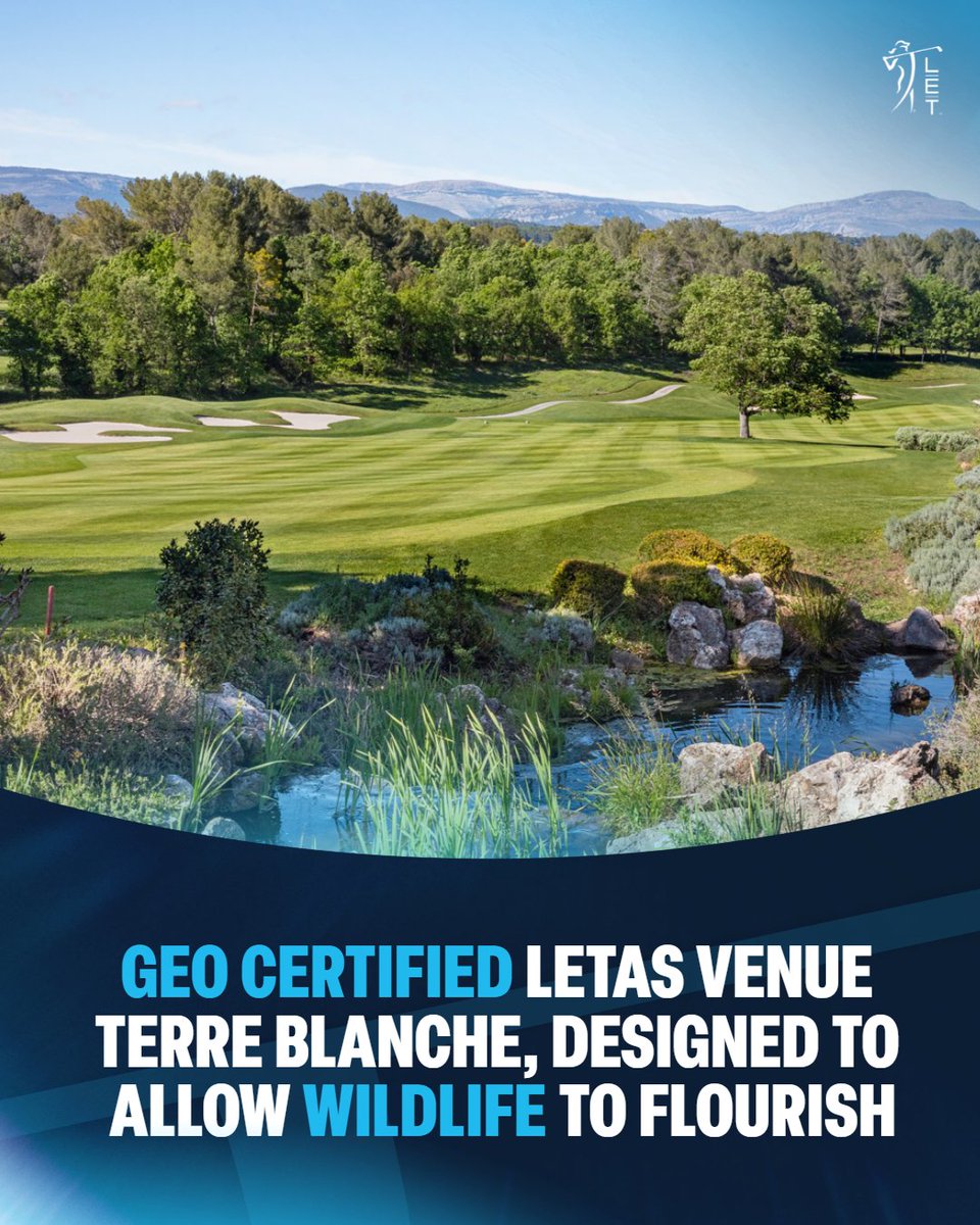 LETgolf's tweet photo. On World Environment Day we are sharing some of this year’s favourite LET Sustainability Initiatives 🍃♻️🌎
Thanks to everyone who is involved, and to our friends and partners @sustainablegolf 🙏
#LETSI | #WorldEnvironmentDay https://t.co/oR7pzR9yaO